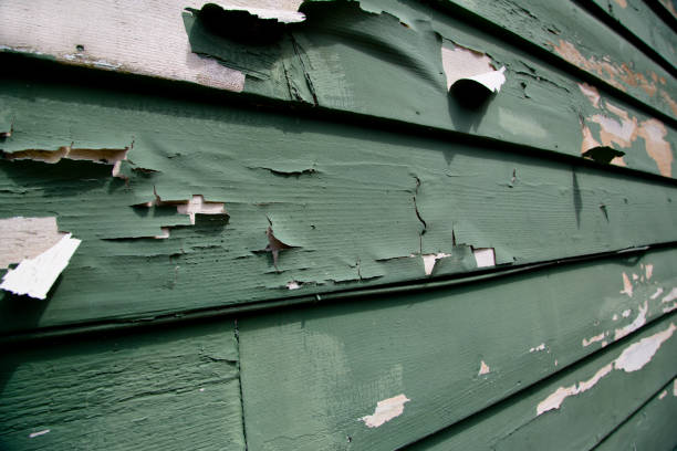 Best Recycling Services for Junk  in Paducah, KY